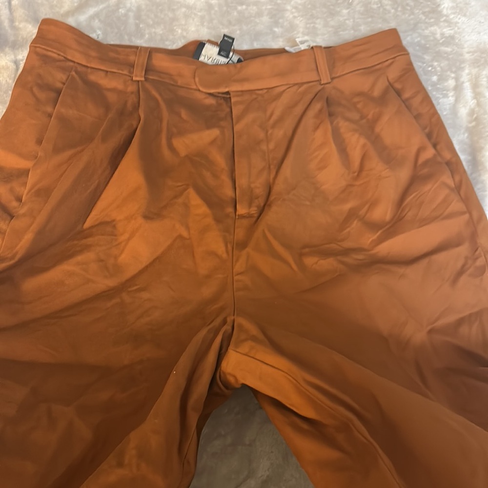 Banana Republic X Harbison Safar Suit Pant In The Right Spice View 3